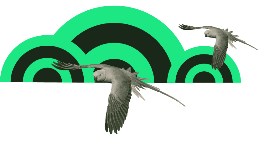 Bird Cloud